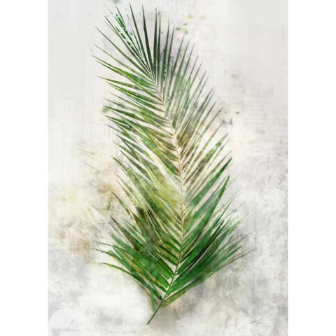 Textured Areca Palm Black Modern Wood Framed Art Print with Double Matting by Roko, Ken