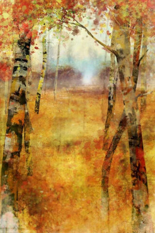 Splashes of Autumn White Modern Wood Framed Art Print with Double Matting by Roko, Ken