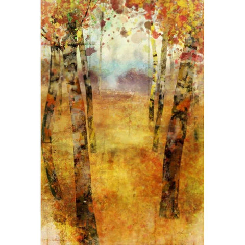 Splashes of Fall Black Modern Wood Framed Art Print by Roko, Ken