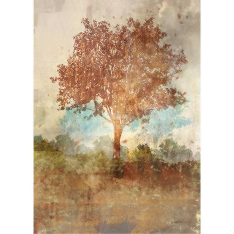 Sun Dappled Tree Gold Ornate Wood Framed Art Print with Double Matting by Roko, Ken
