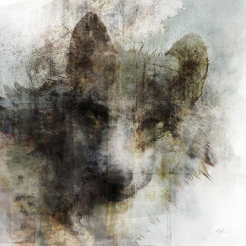 Wolf Call White Modern Wood Framed Art Print with Double Matting by Roko, Ken
