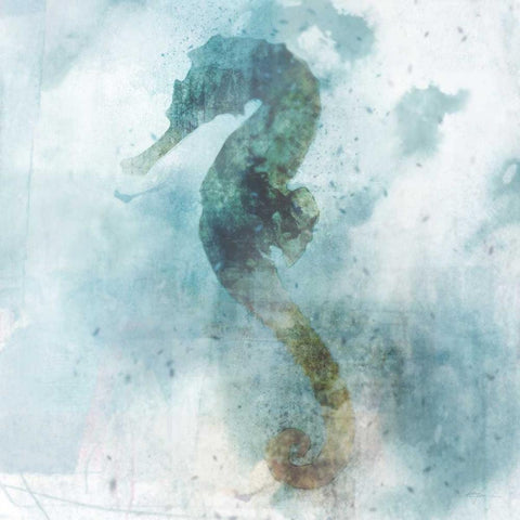 Coatal Mist Seahorse Black Modern Wood Framed Art Print by Roko, Ken