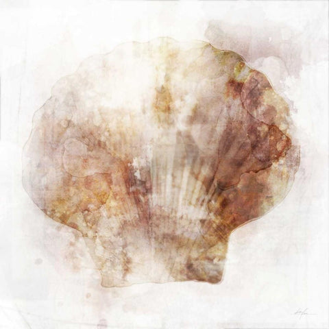 Coastal Mist Scallop White Modern Wood Framed Art Print with Double Matting by Roko, Ken