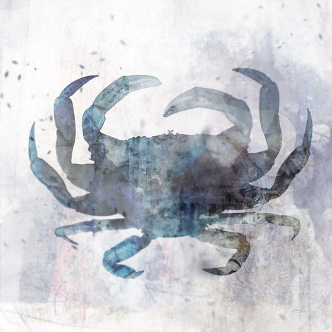 Coastal Mist Crab Black Modern Wood Framed Art Print by Roko, Ken