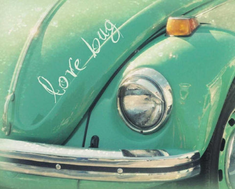 Love Bug Green White Modern Wood Framed Art Print with Double Matting by Dvorak, Vicki