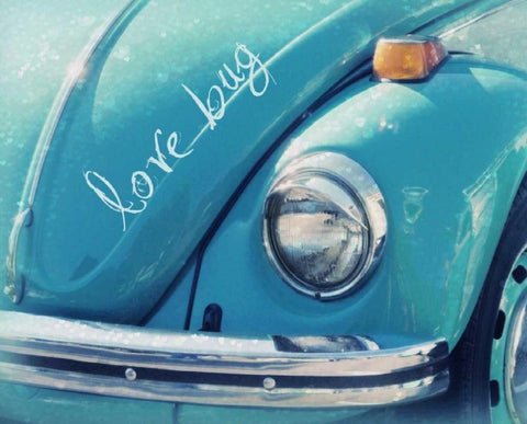 Love Bug Blue White Modern Wood Framed Art Print with Double Matting by Dvorak, Vicki