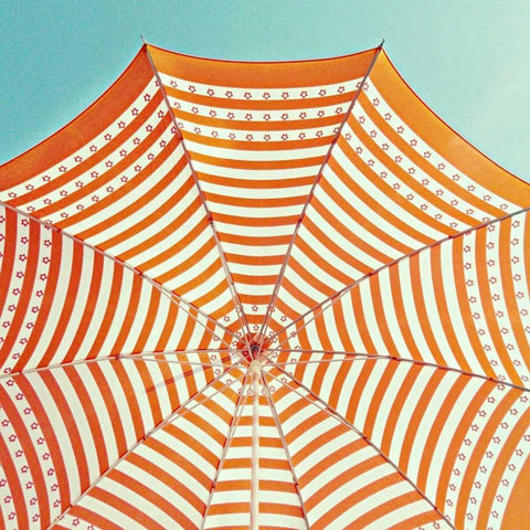 Sunkist Black Ornate Wood Framed Art Print with Double Matting by Dvorak, Vicki