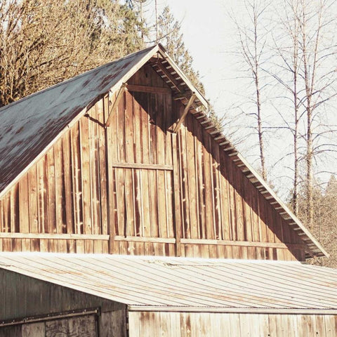 Weathered White Modern Wood Framed Art Print by Dvorak, Vicki