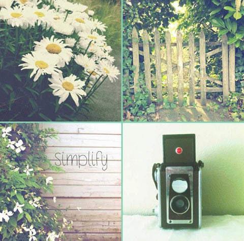 Camera And Daisies SIMPLIFY White Modern Wood Framed Art Print with Double Matting by Dvorak, Vicki