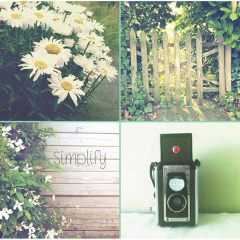 Camera And Daisies SIMPLIFY White Modern Wood Framed Art Print by Dvorak, Vicki