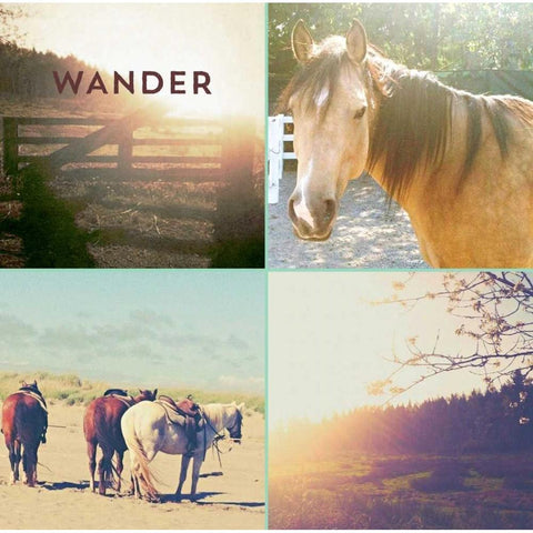 Horses And Sunburst WANDER White Modern Wood Framed Art Print by Dvorak, Vicki