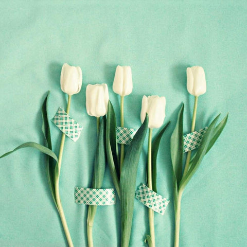 White Tulips Taped White Modern Wood Framed Art Print by Dvorak, Vicki