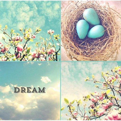 Blue Eggs Pink Blossoms Dream Black Modern Wood Framed Art Print with Double Matting by Dvorak, Vicki
