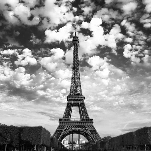 Viewing The Eiffel Gold Ornate Wood Framed Art Print with Double Matting by Innes, David