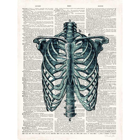 Vintage Anatomy Study White Modern Wood Framed Art Print by James, Christopher