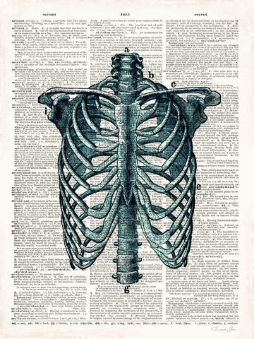 Vintage Anatomy Study White Modern Wood Framed Art Print with Double Matting by James, Christopher