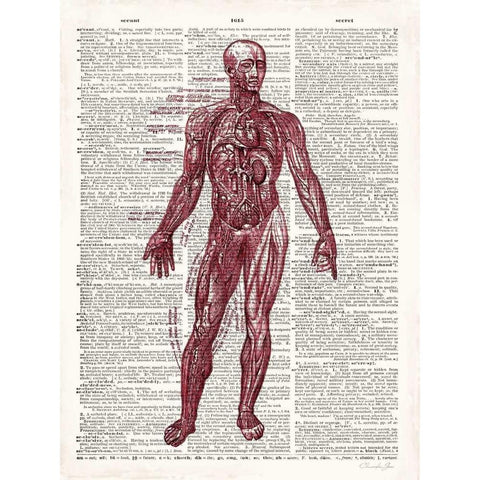 Vintage Anatomy Book  Black Modern Wood Framed Art Print with Double Matting by James, Christopher