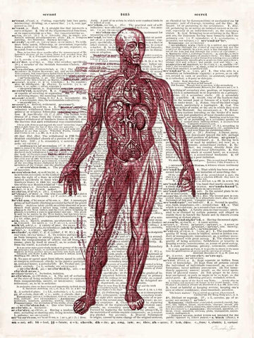 Vintage Anatomy Book  White Modern Wood Framed Art Print with Double Matting by James, Christopher