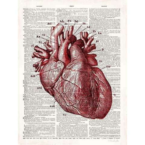 Vintage Anatomy Heart Black Modern Wood Framed Art Print with Double Matting by James, Christopher