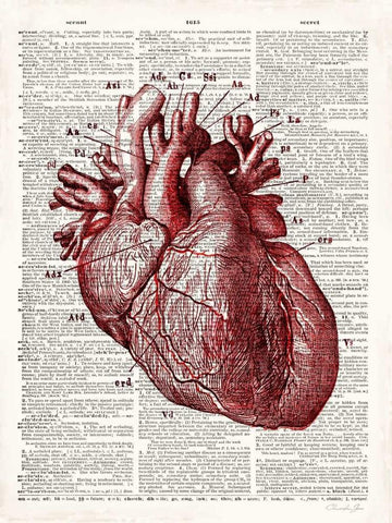 Vintage Anatomy Heart Black Ornate Wood Framed Art Print with Double Matting by James, Christopher