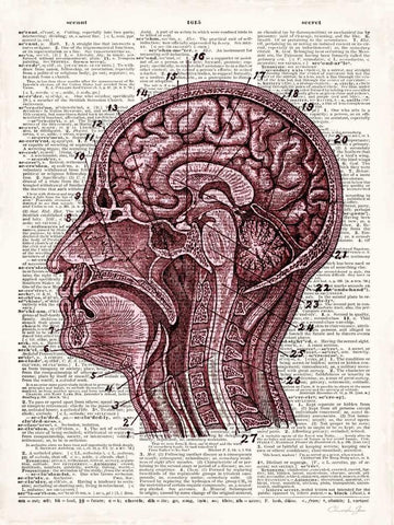 Vintage Anatomy Brain Black Ornate Wood Framed Art Print with Double Matting by James, Christopher