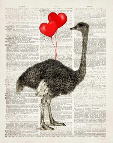 Ostrich In Love Black Ornate Wood Framed Art Print with Double Matting by James, Christopher