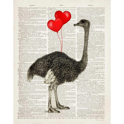 Ostrich In Love Black Modern Wood Framed Art Print with Double Matting by James, Christopher
