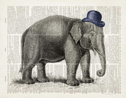 Elephant In A Bowler White Modern Wood Framed Art Print with Double Matting by James, Christopher