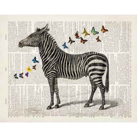 Zebra and Butterflies Black Modern Wood Framed Art Print with Double Matting by James, Christopher