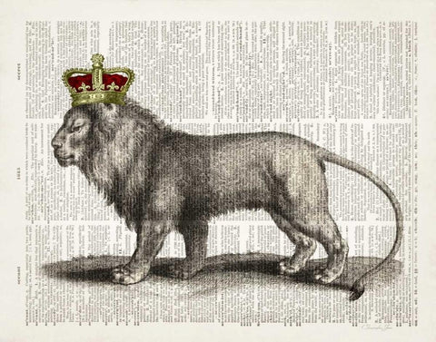 Magestic Lion White Modern Wood Framed Art Print with Double Matting by James, Christopher