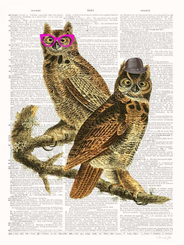Whoo Are You Looking At ? White Modern Wood Framed Art Print with Double Matting by James, Christopher