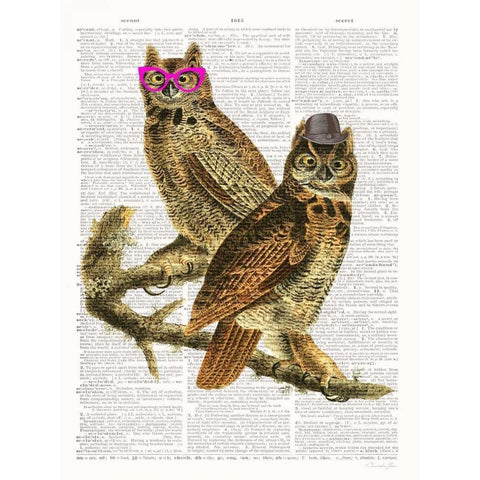 Whoo Are You Looking At ? White Modern Wood Framed Art Print by James, Christopher