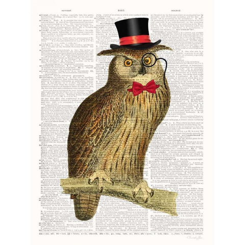 A Dapper Bird White Modern Wood Framed Art Print by James, Christopher