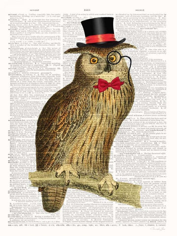 A Dapper Bird White Modern Wood Framed Art Print with Double Matting by James, Christopher