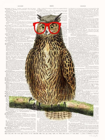 Studious Owl White Modern Wood Framed Art Print with Double Matting by James, Christopher