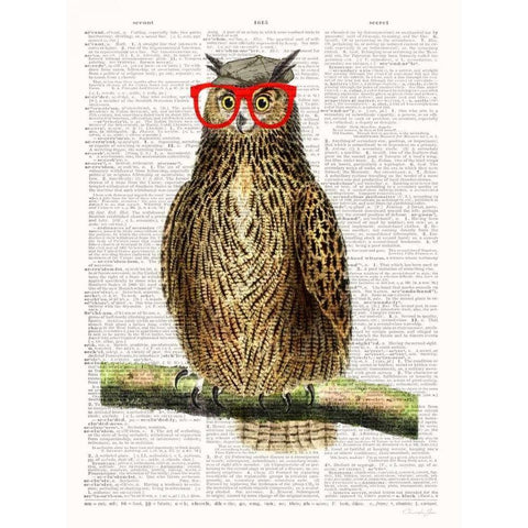 Studious Owl Gold Ornate Wood Framed Art Print with Double Matting by James, Christopher