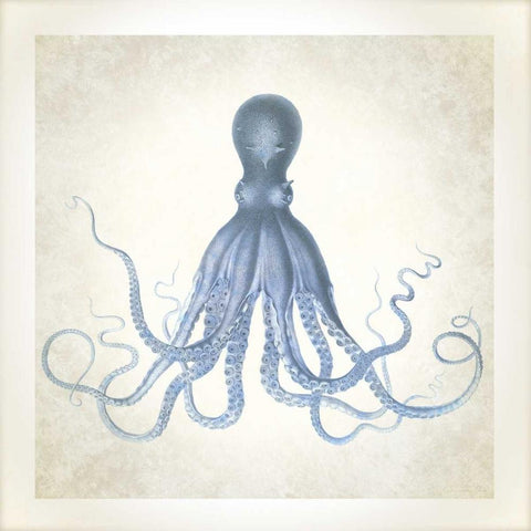 Sea Life, Octopus Gold Ornate Wood Framed Art Print with Double Matting by James, Christopher