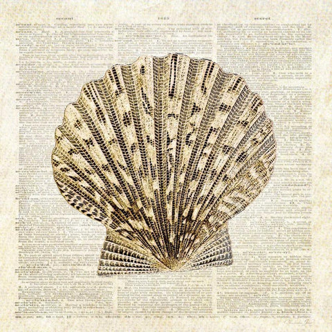 Scallop Shell Pages Gold Ornate Wood Framed Art Print with Double Matting by James, Christopher