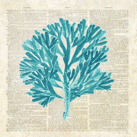 Seaweed Pages Black Modern Wood Framed Art Print with Double Matting by James, Christopher