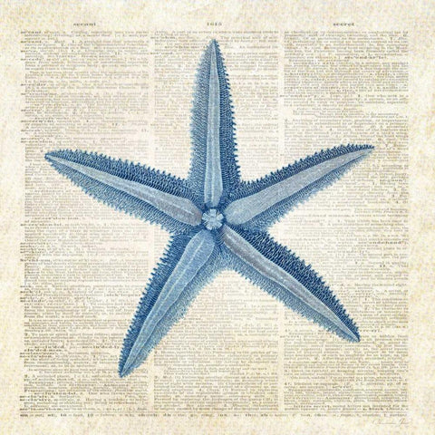 Starfish Pages Black Ornate Wood Framed Art Print with Double Matting by James, Christopher