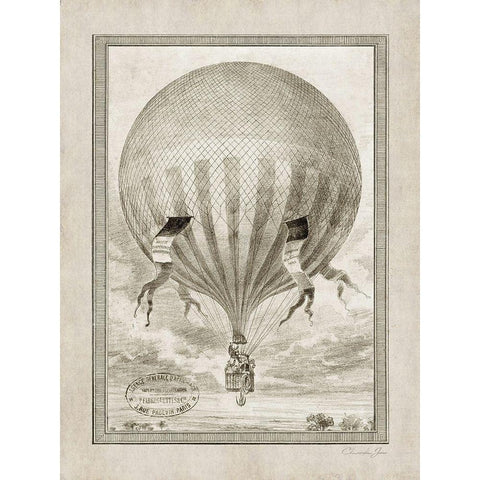 Balloon Over The Countryside Gold Ornate Wood Framed Art Print with Double Matting by James, Christopher