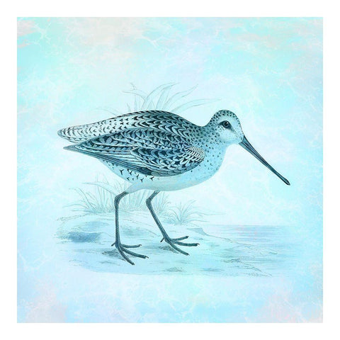 At The Seashore 1 Black Modern Wood Framed Art Print by James, Christopher