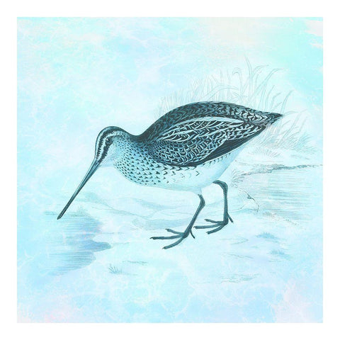 At The Seashore 2 Black Ornate Wood Framed Art Print with Double Matting by James, Christopher