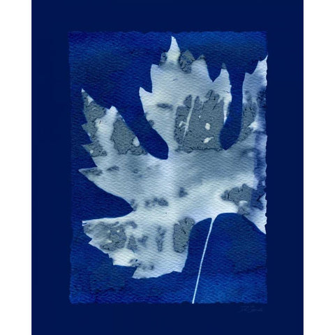 Cyanotype Maple Gold Ornate Wood Framed Art Print with Double Matting by Zamudio, Dan