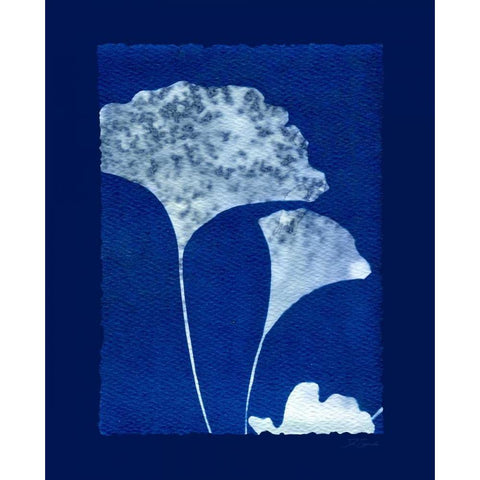 Cyanotype Ginko Black Modern Wood Framed Art Print with Double Matting by Zamudio, Dan