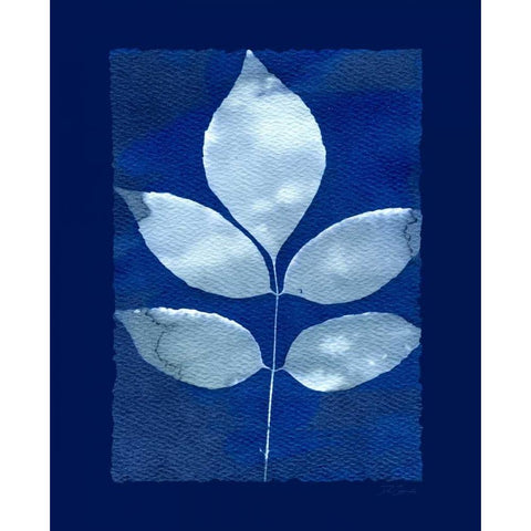 Cyanotype Birch Gold Ornate Wood Framed Art Print with Double Matting by Zamudio, Dan