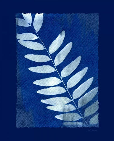 Cyanotype Fern White Modern Wood Framed Art Print with Double Matting by Zamudio, Dan