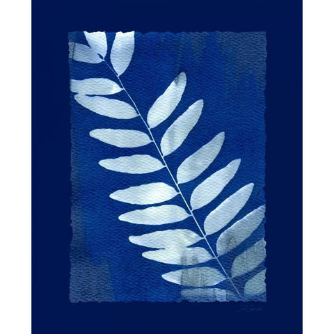 Cyanotype Fern Gold Ornate Wood Framed Art Print with Double Matting by Zamudio, Dan