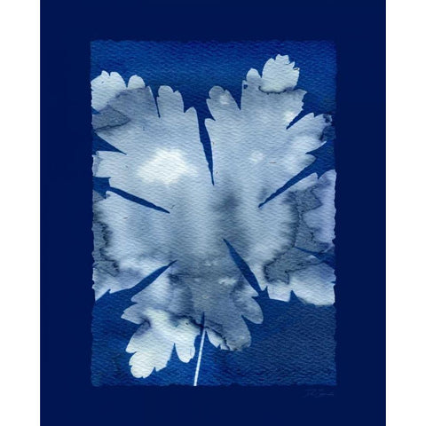 Cyanotype Leaf Black Modern Wood Framed Art Print by Zamudio, Dan
