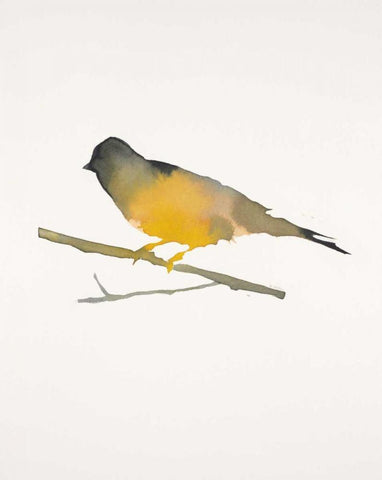 Water Bird 4 White Modern Wood Framed Art Print with Double Matting by Swartz, Megan